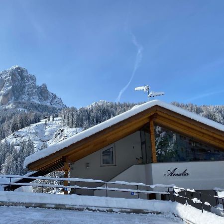 Amalia Apartment Santa Cristina Val Gardena 外观 照片